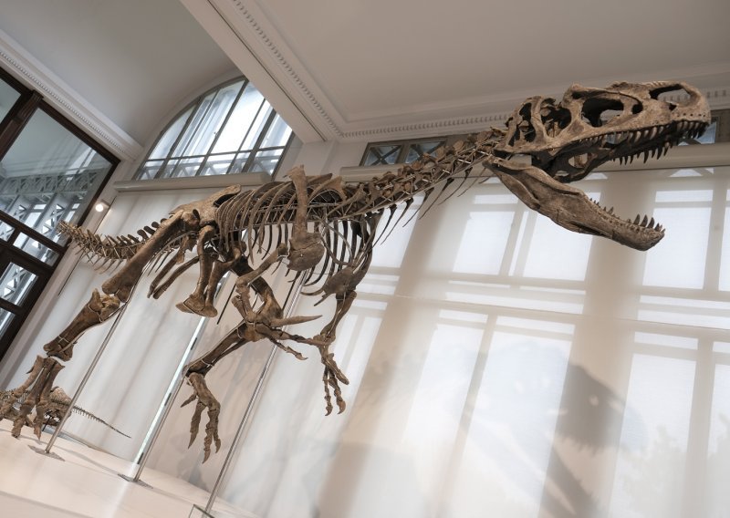 Nove spoznaje o dinosaurima opovrgavaju nekoć popularnu teoriju među paleontolozima