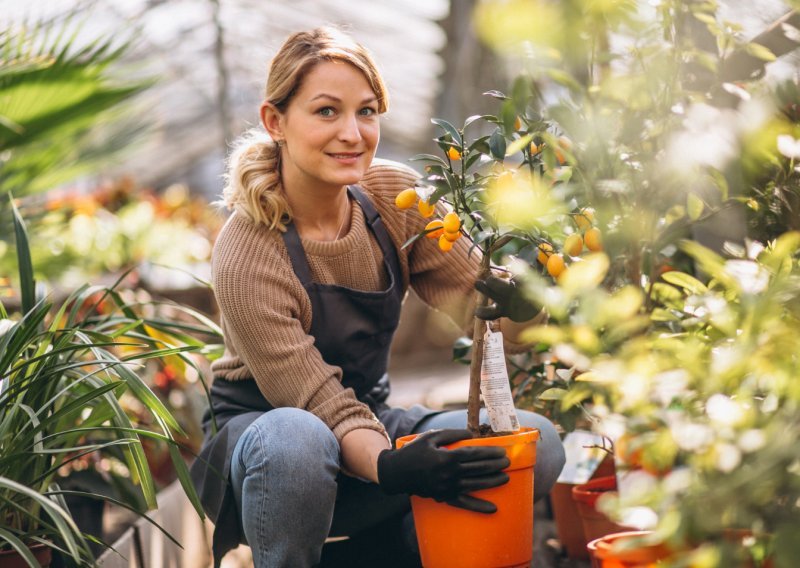 Nemojte zakasniti: Evo kako saditi trajnice tijekom jeseni