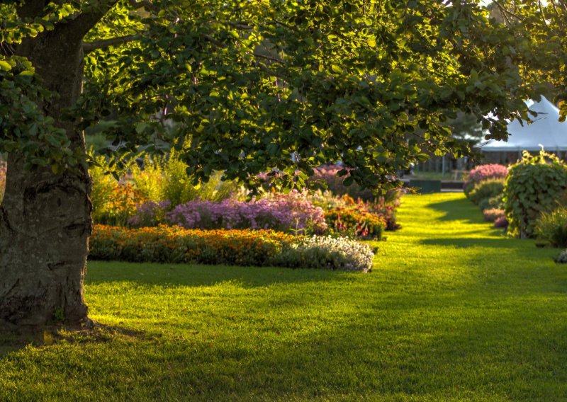 Kopao bazen u vrtu i otkrio blago vrijedno 700.000 eura! A onda je uslijedio još veći šok