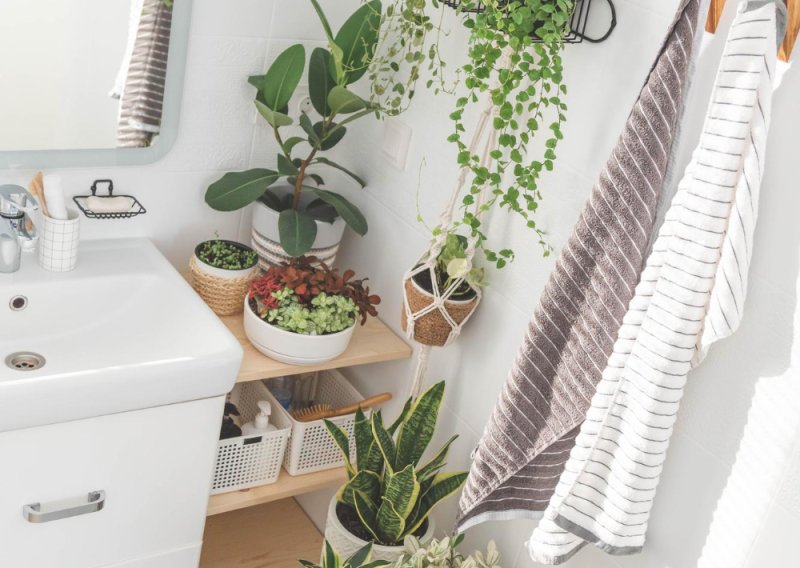 Savršene za kupaonice: Ove biljke obožavaju vlagu i nisu nimalo zahtjevne