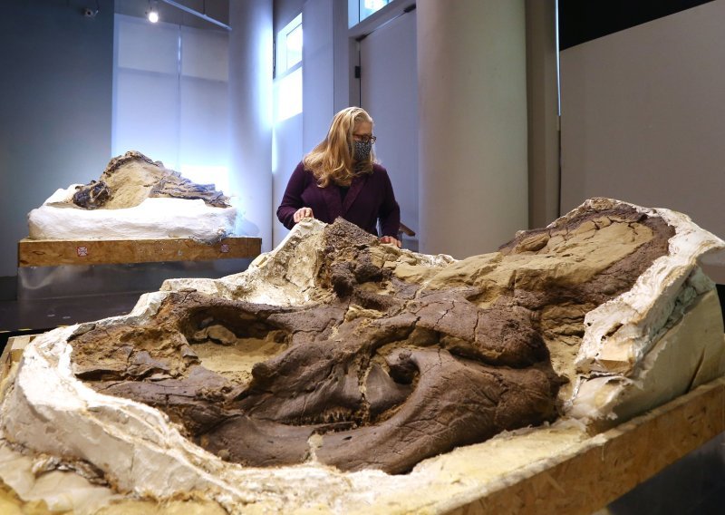 Znanstvenici potvrdili: Nanotyrannus je zasebna vrsta, a ne mladi T. rex