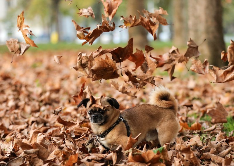 Promjena je na vidiku: Nakon toplog vikenda pljuskovi i pad temperature