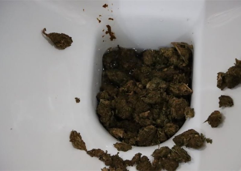 Policija upala u kuću dok je žena bacala drogu u WC: Rastavili su kanalizacijske cijevi