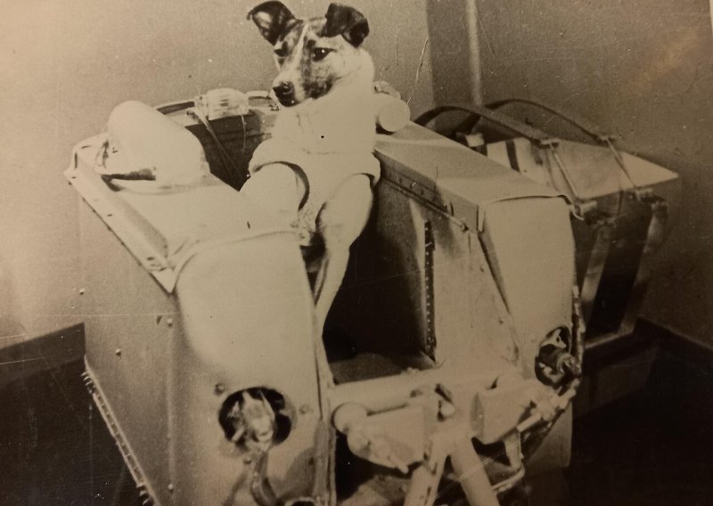 Prije 68 godina prokrčila je ljudima put u svemir: Priča o mješanki s ulica Moskve koja je promijenila povijest