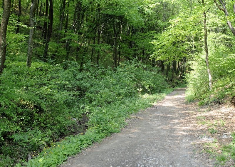 Na Kustošiji pronađene kosti njemačkih vojnika