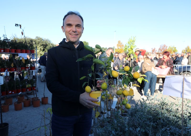 Loris Peršurić novi je predsjednik IDS-a