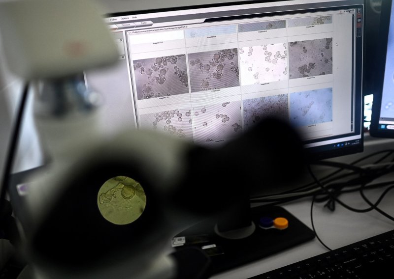 Popularna namirnica koja se najčešće patvori: Svaka četvrta tegla je neispravna