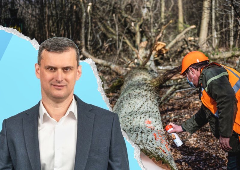 Tko je novi šef Hrvatskih šuma? Vodio komunalna poduzeća, a plaća će mu sad skočiti za četiri tisuće eura