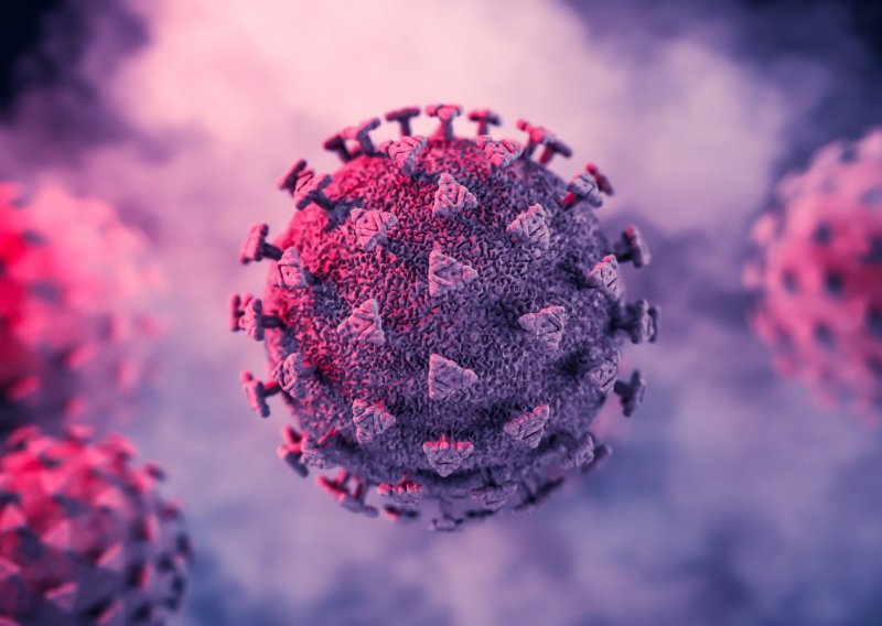 Uzbuna u zdravstvu: Otkriven je divlji poliovirus u Europi