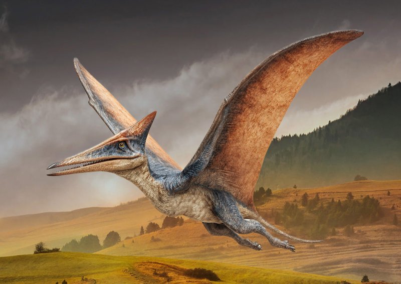 U fosiliziranom izmetu dinosaura pronađena nova vrsta letećeg gmaza