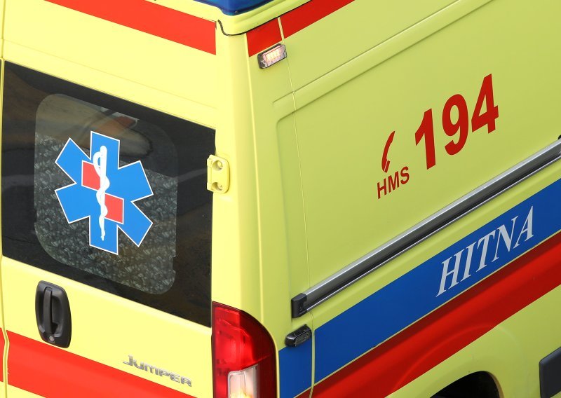 U padu stabla poginuo radnik Hrvatskih šuma