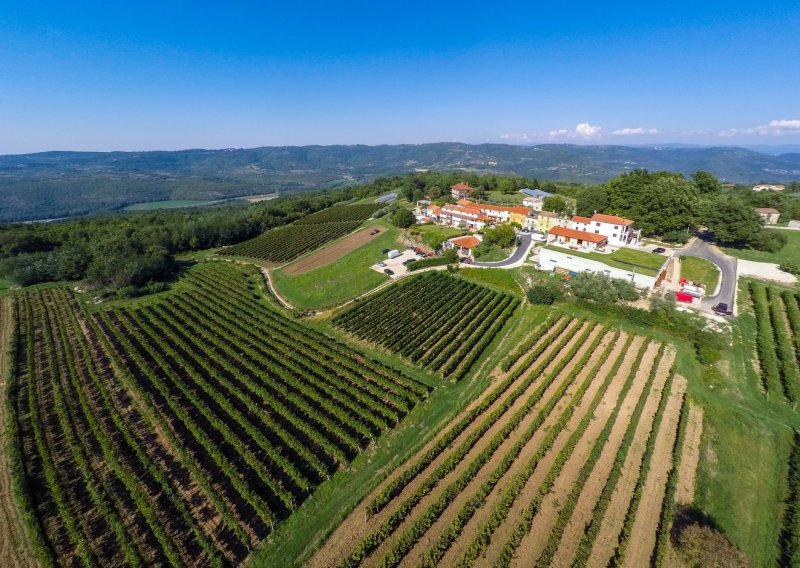 Stoljeće i pol vinske priče obitelji Arman u Vižinadi