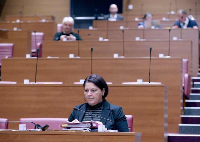 Vlada djelomično prihvatila amandman Kluba IDS-a. Poznato što to donosi