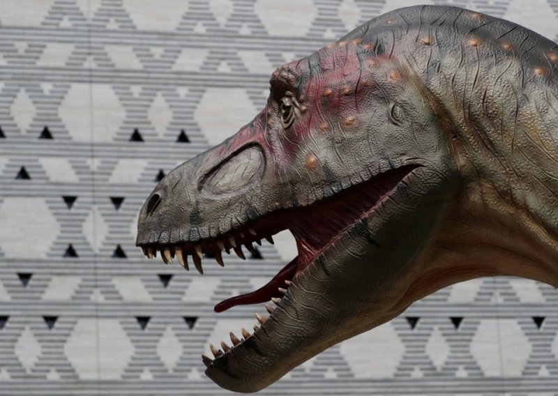 Paleontolozi u Boliviji pronašli rekordan broj tragova stopala dinosaura