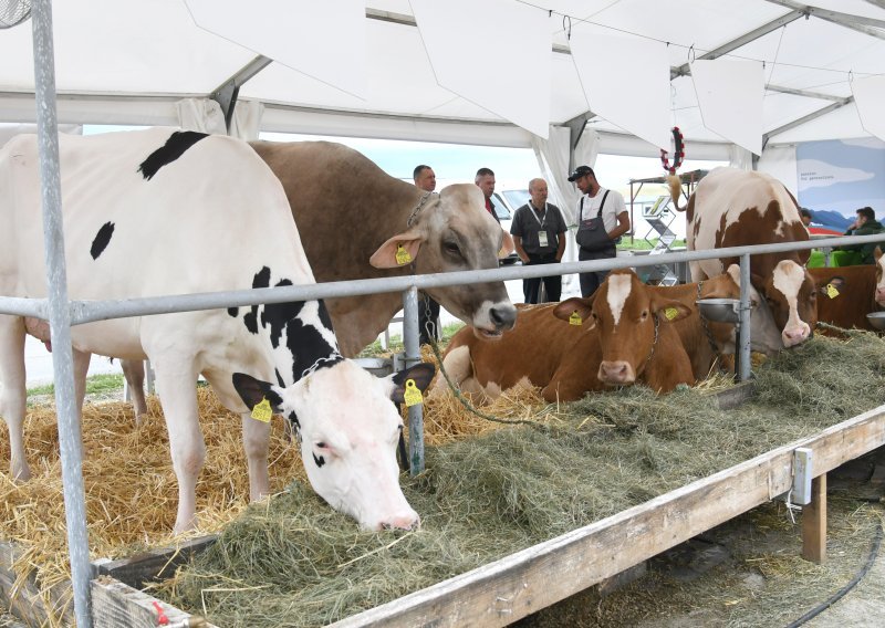 Proizvođači priželjkuju najavljenu izgradnju Centra za meso u Križevcima: 'Industrija je obezglavljena'
