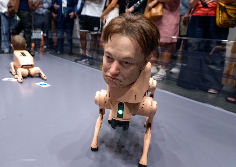 VIDEO Picasso, Musk i Warhol na četiri noge? Pogledajte jednu od najneobičnijih izložbi