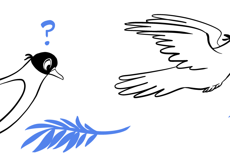 Nobelova nagrada za mir... i za još koješta? Kako je prestižno priznanje postalo i najkontroverznije