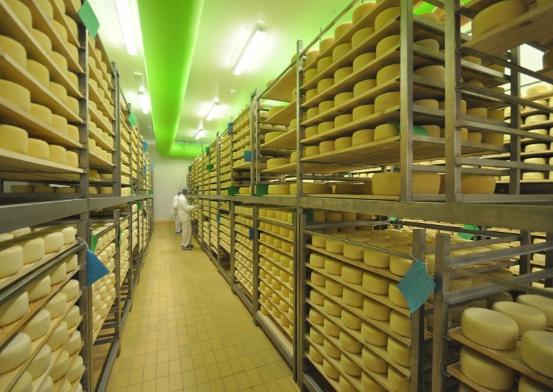 Istarski ovčji sir 52. hrvatski proizvod zaštićenog naziva u EU