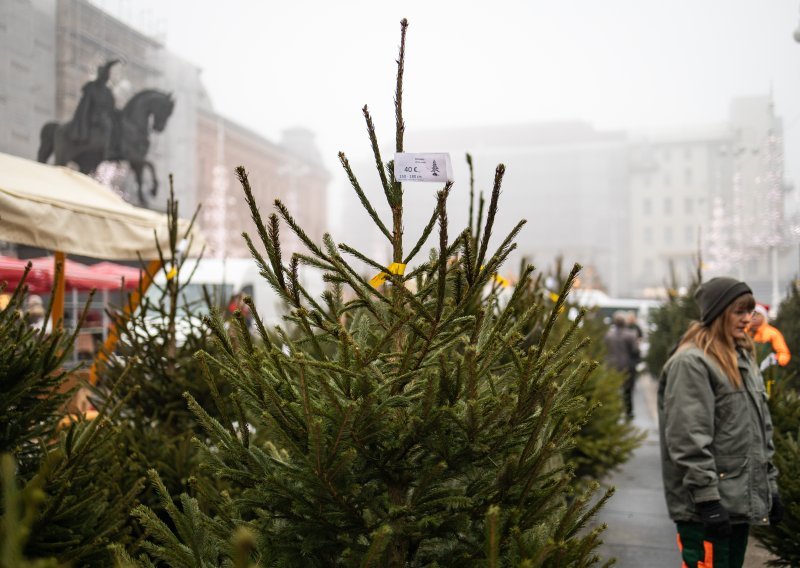 U centru Zagreba prodaju se božićna drvca, iza svega stoji humani motiv
