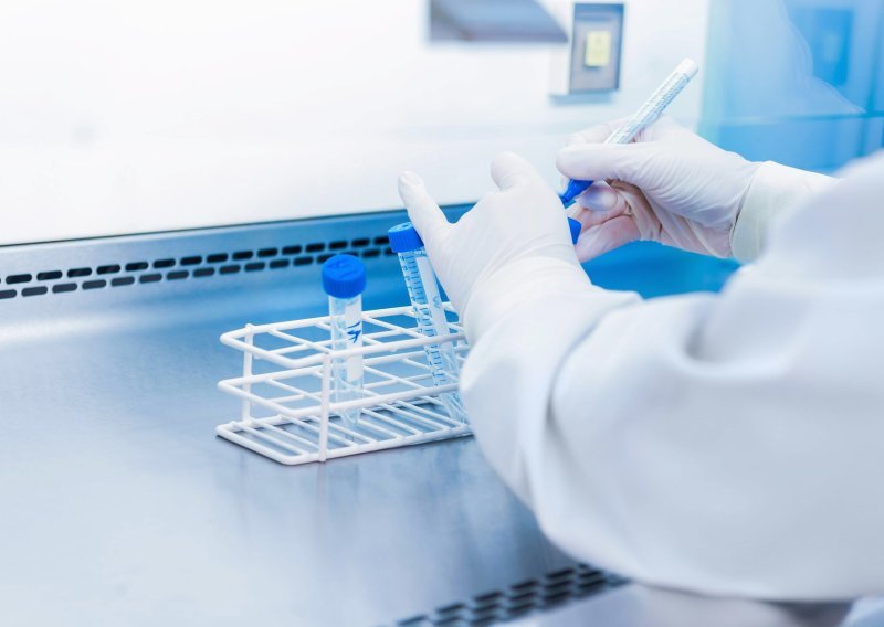 Ruđerovci ispitali devet novih molekula koje bi mogle dati lijek protiv tumora