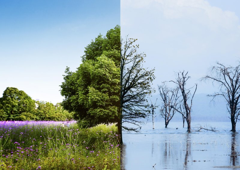 Zavod za zaštitu okoliša: 'Dio rješenja za klimu dolazi iz prirode'