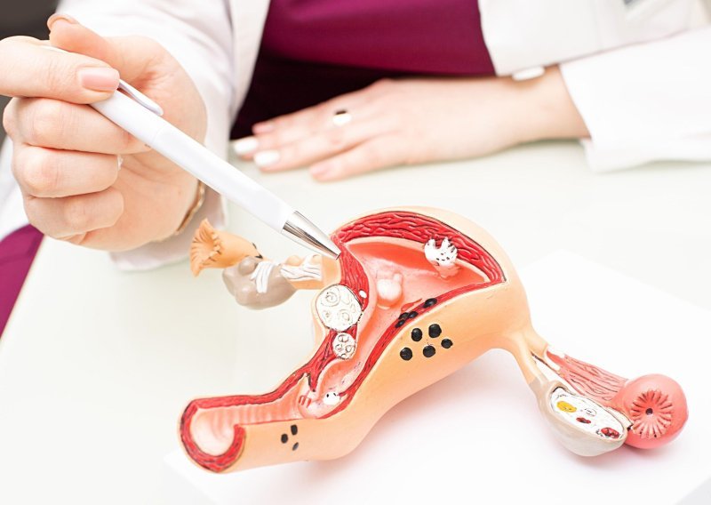 'Stidnica' podijelila stručnjake: Pravobraniteljica traži promjenu naziva spolnog organa