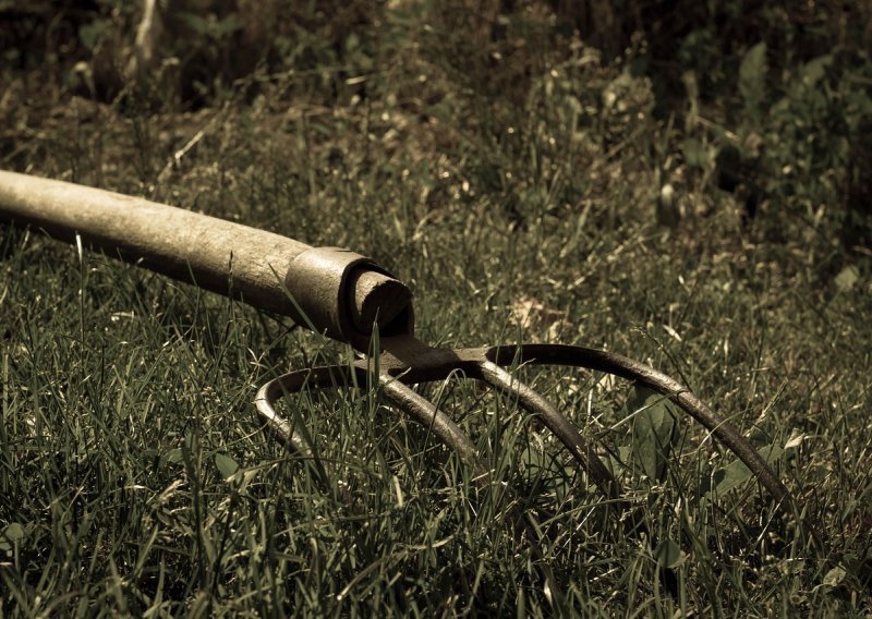 Dvojac letvama napao mladića u njegovom autu: Pokušali ga ubiti, jedan nasrnuo vilama