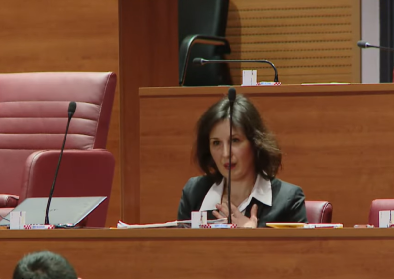 [VIDEO] Saborski zastupnici su mirno raspravljali, a onda se začuo vrisak...