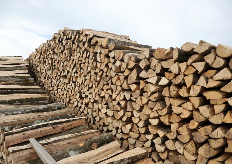Hrvatske šume korigirale cijene svih drvnih sortimenta, evo za koliko