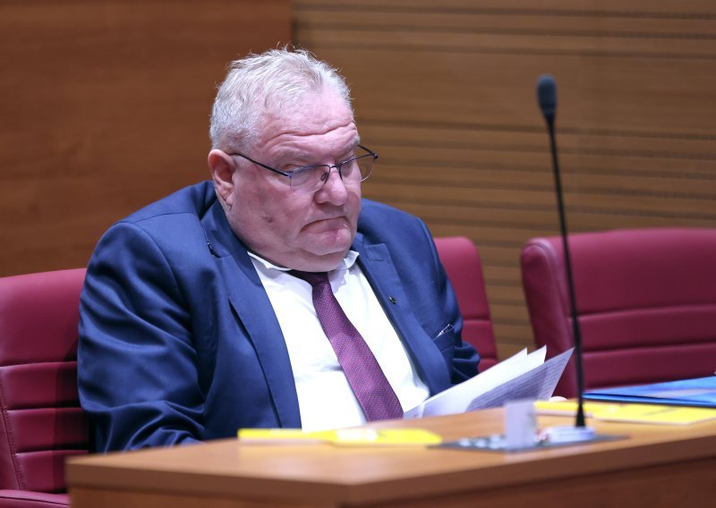 Udruga Sjena odgovorila HDZ-ovcu: Vaša izjava je duboko uvredljiva laž