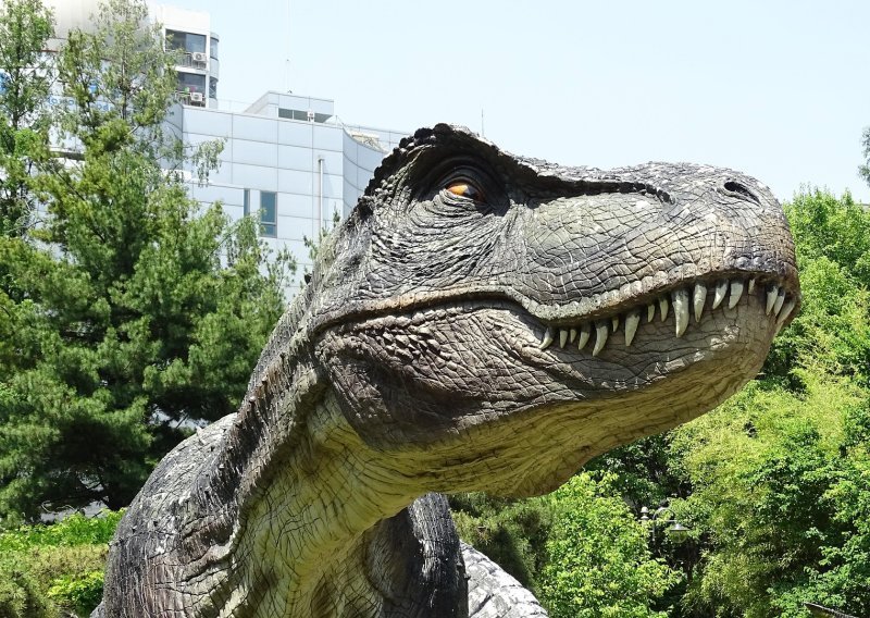 Analiza otkriva: Odrastanje tiranosaura bilo je vrlo dugotrajan proces