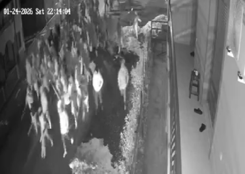 Objavljena snimka torcidaša s palicama: Nakon ovog je uslijedio kaos i napad na Delije