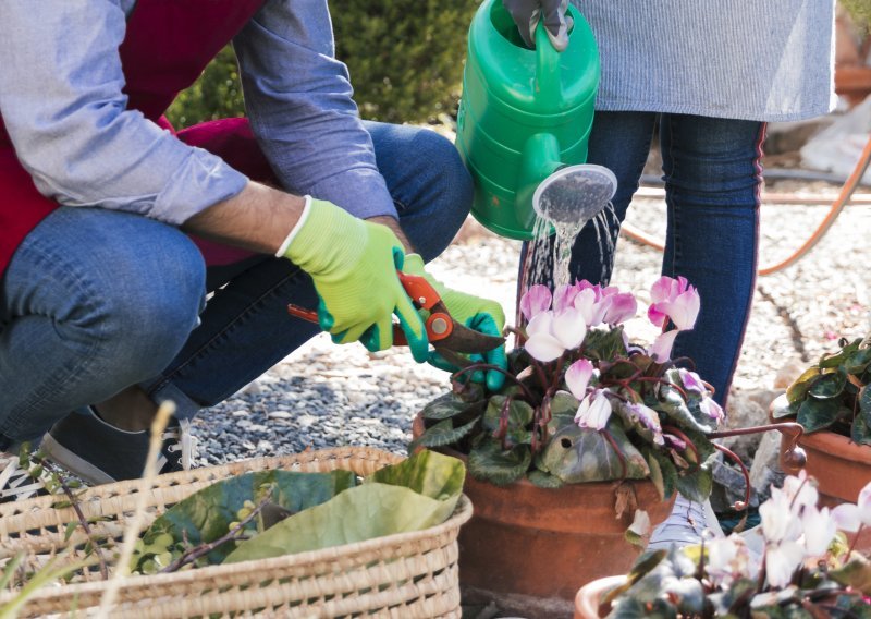Ako imate biljke, ovo morate znati – plastične teglice kakve poznajemo odlaze u povijest