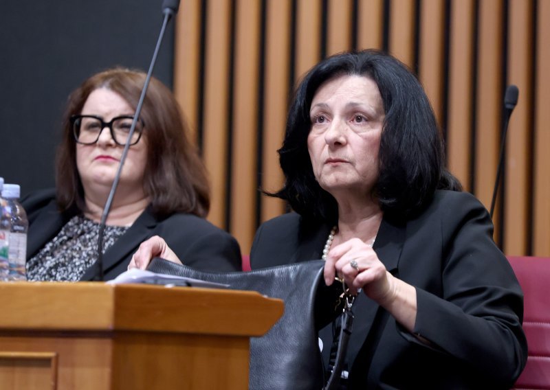 Pao broj zahtjeva za pristup informacijama: 'To je doista alarmantno'