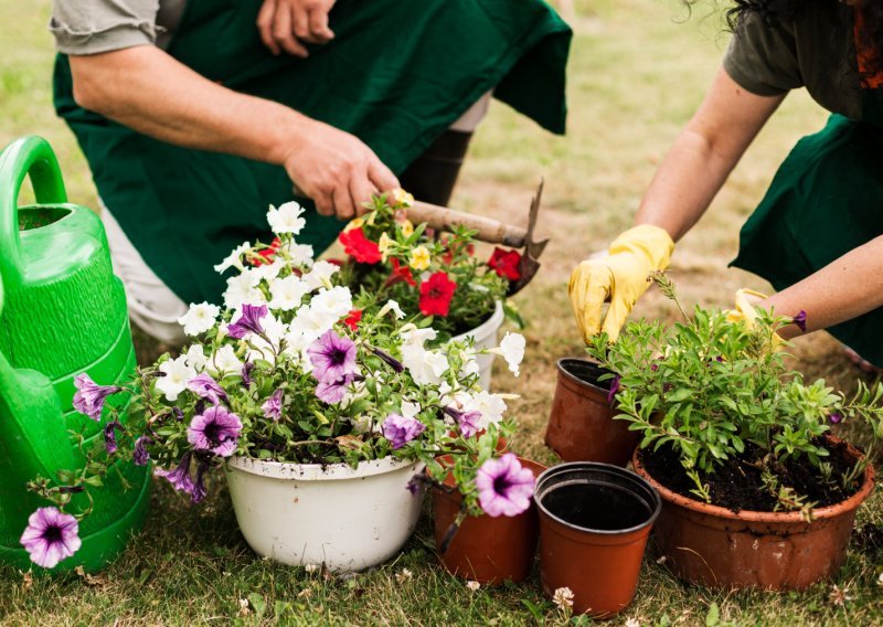 Sada je pravo vrijeme: Evo što napraviti u vrtu za raskošan cvat omiljenih biljaka