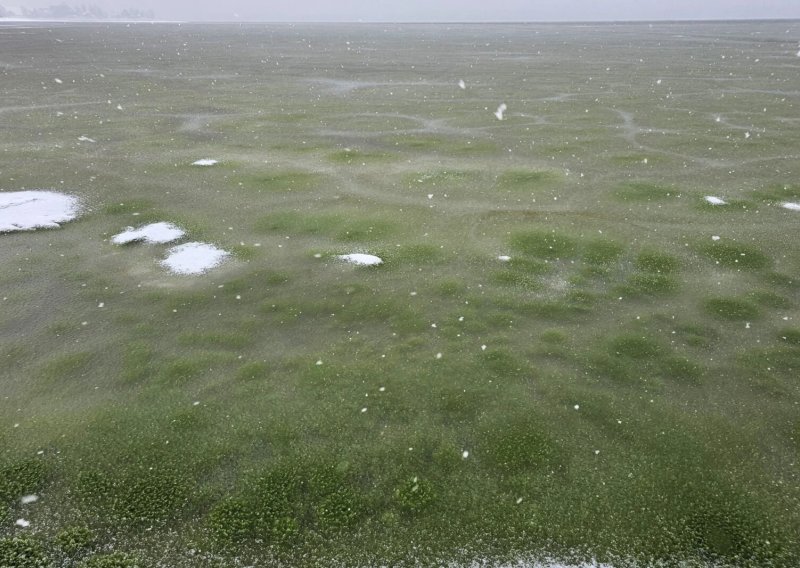 Neobičan prizor u Češkoj: Zaleđeno jezero iznenada postalo zeleno
