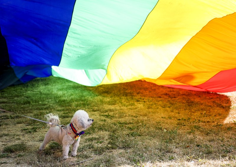 Prva presuda u BiH zbog diskriminacije LGBTQ osoba: Osuđena bivša zastupnica SDA