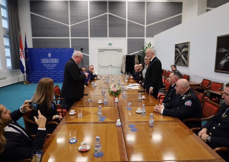 Američki i francuski vatrogasci dobili veliko priznanje Sabora: Pomogli su hrvatskim kolegama