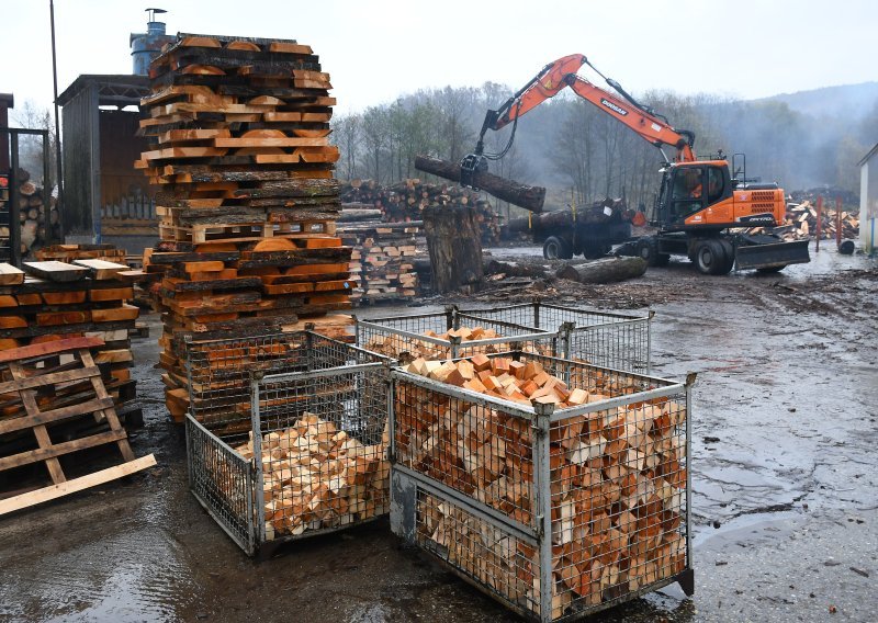 Stižu im milijarde eura prihoda, a potencijala ima još: Drvnoj industriji potreban poticaj