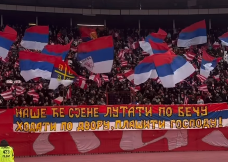 Delije poslale poruku hrvatskim navijačima kojima su napravili sačekušu u Austriji pa skandirali i Torcidi