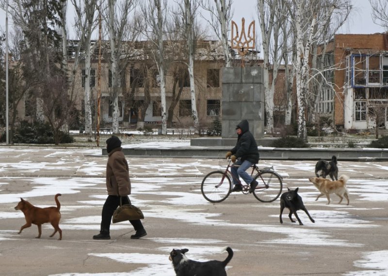 Šokantno otkriće u Ukrajini: Ratni uvjeti drastično promijenili izgled pasa