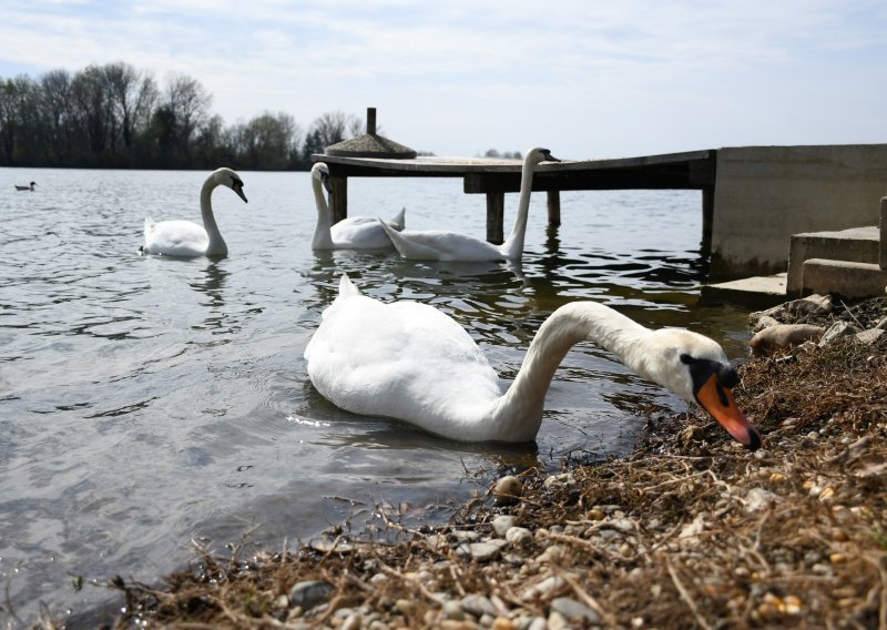 Influenca potvrđena na Vinkovačkom području: Ovo su upute građanima