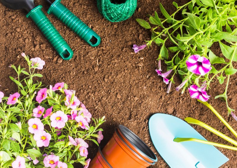 Ne čekajte proljeće: Ako ovo posijete u veljači, vaš će vrt i balkon biti najraskošniji u susjedstvu