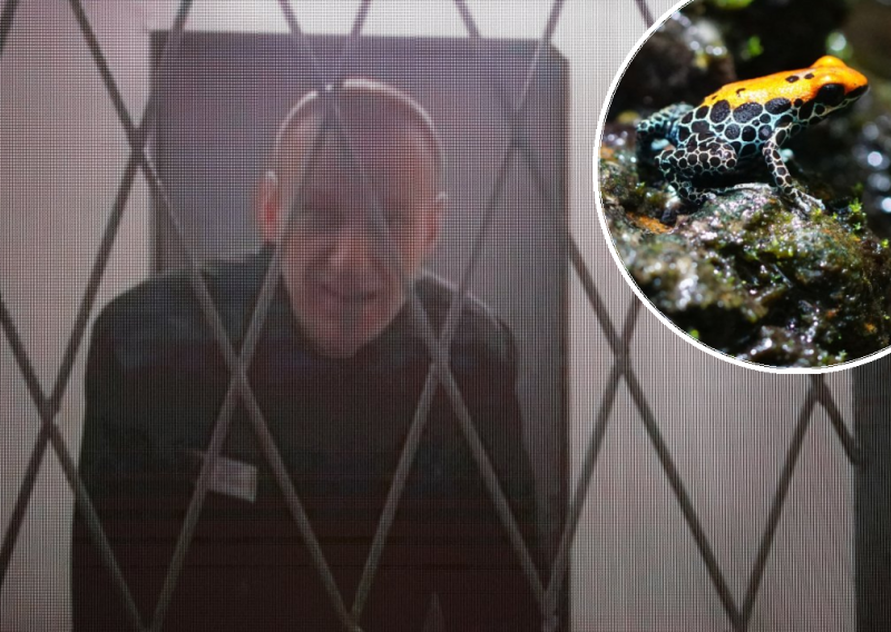 Što je žablji otrov kojim je ubijen Navaljni? Jači je 200 puta od morfija, a evo kako djeluje na tijelo