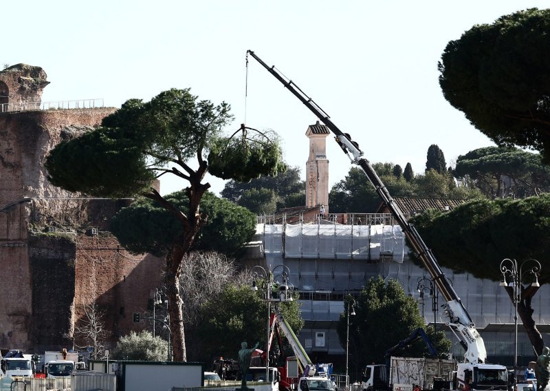 Postaju sve krhkiji zbog klimatskih promjena: Rim siječe stare borove duž avenije do Koloseja