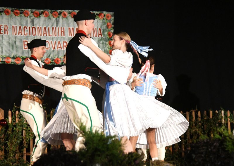 Talijani, pa Srbi, pa ostali: Koliko novca su ove godine dobile manjine