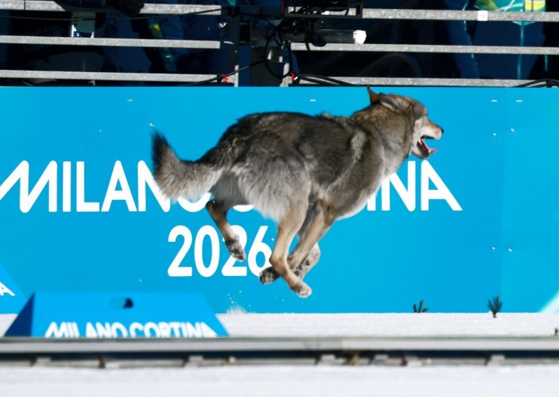 Pogledajte lude scene s Olimpijskih igara: Pas utrčao na stazu usred natjecanja