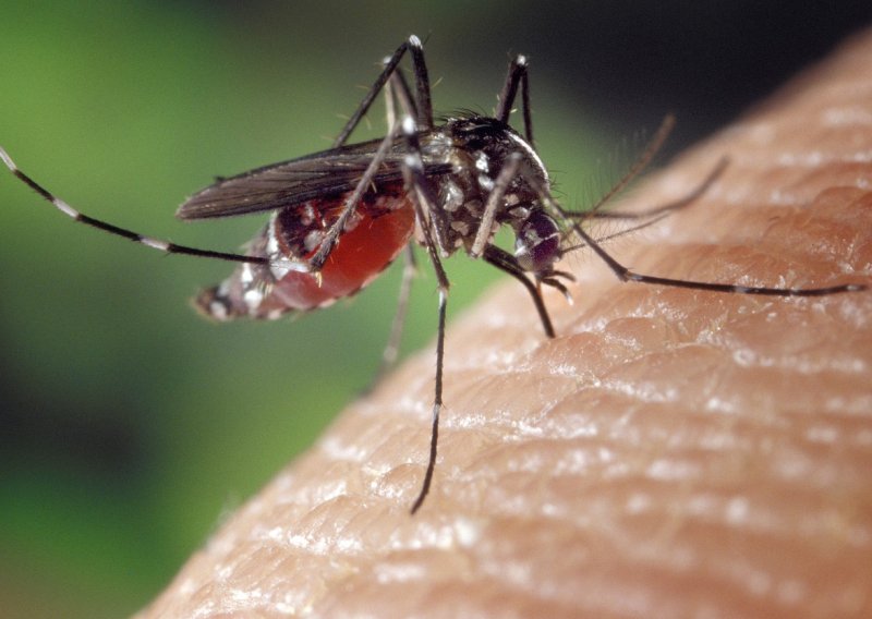 Virus koji prenose komarci odnio još jedan život: U Hrvatskoj troje zaraženih, jedan na respiratoru