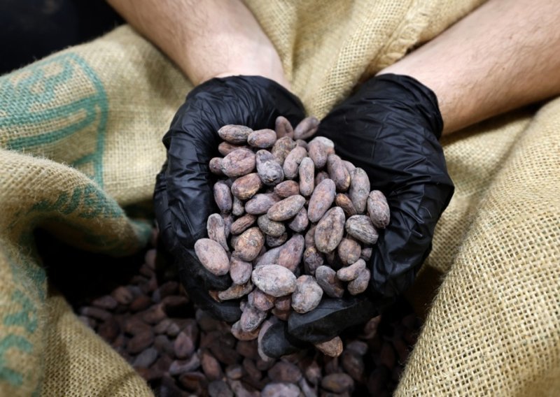 Obala Bjelokosti snizuje otkupnu cijenu kakaovca? 'Hrabre, ali realne odluke'
