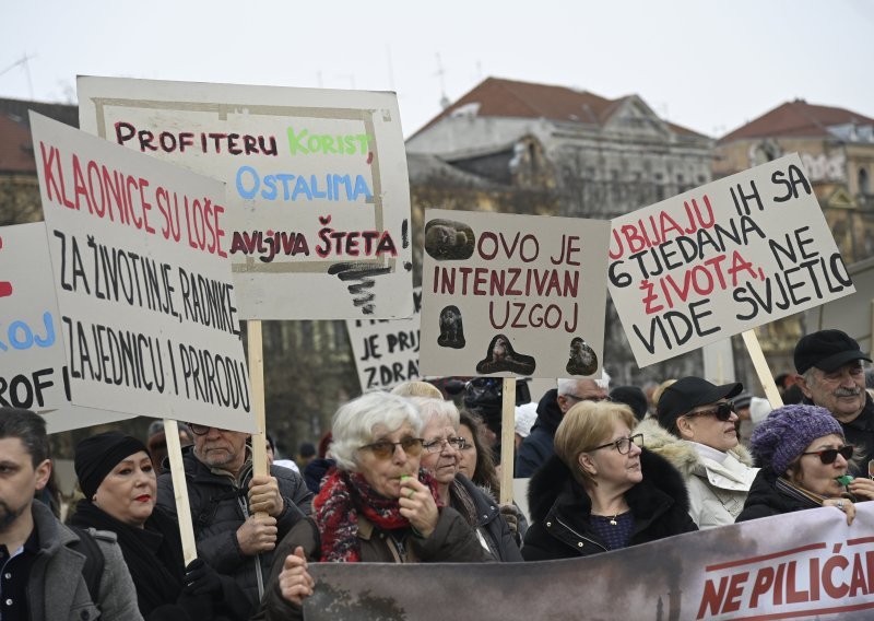 FOTO Pogledajte poruke s prosvjeda protiv izgradnje megafarme kod Siska
